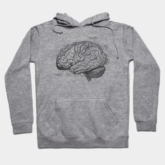 Human Body - Brain vol.3 Hoodie by be yourself. design